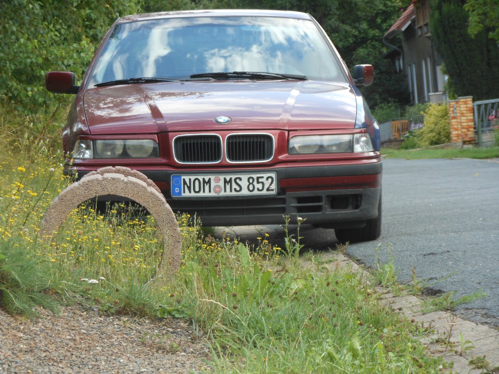 E36 BMW Family - 3er BMW - E36