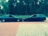 Black Devil - 5er BMW - E39 - image.jpg
