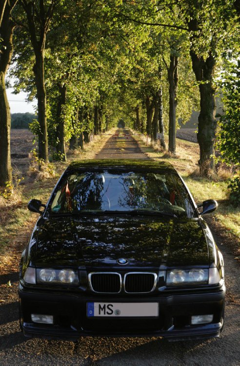 E36 Clubsport - 320i - 3er BMW - E36