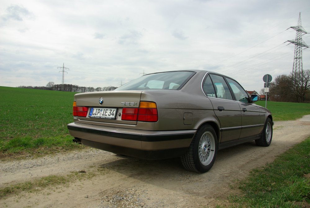 Goldi - 1989 BMW 525i M20B25 - 5er BMW - E34