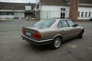 Goldi - 1989 BMW 525i M20B25 - 5er BMW - E34 Goldi - 1989 BMW 525i M20B25 - 5er BMW - E34