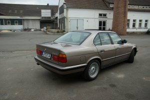 Goldi - 1989 BMW 525i M20B25 - 5er BMW - E34