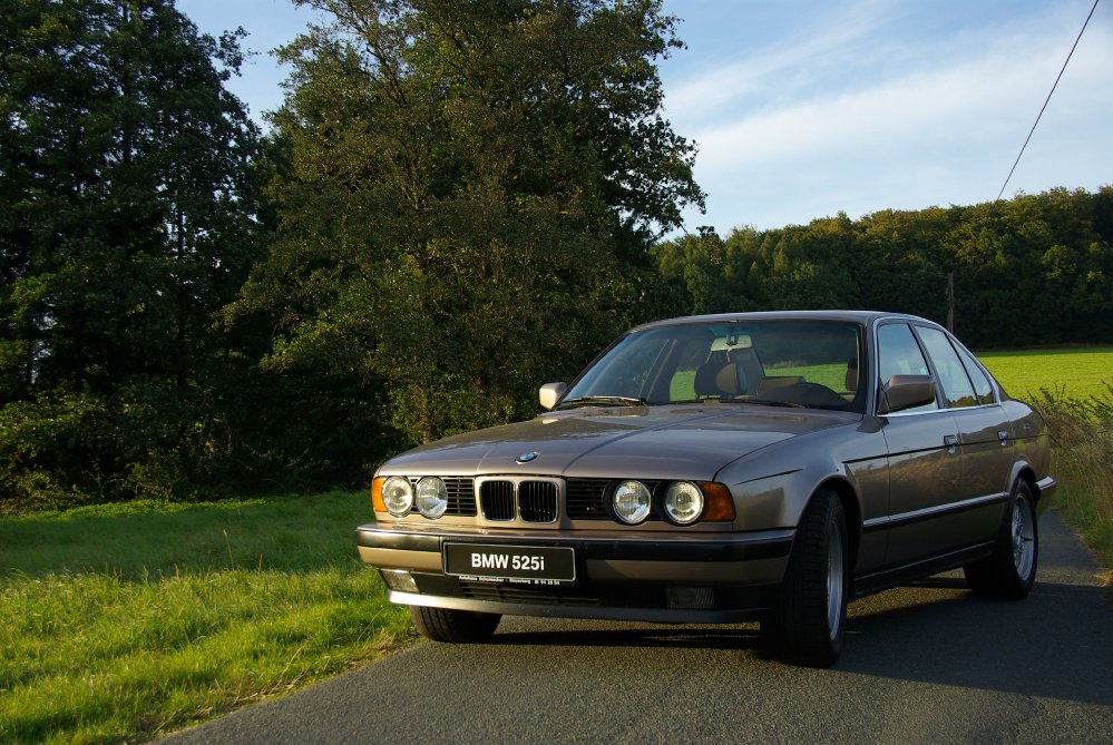 Goldi - 1989 BMW 525i M20B25 - 5er BMW - E34