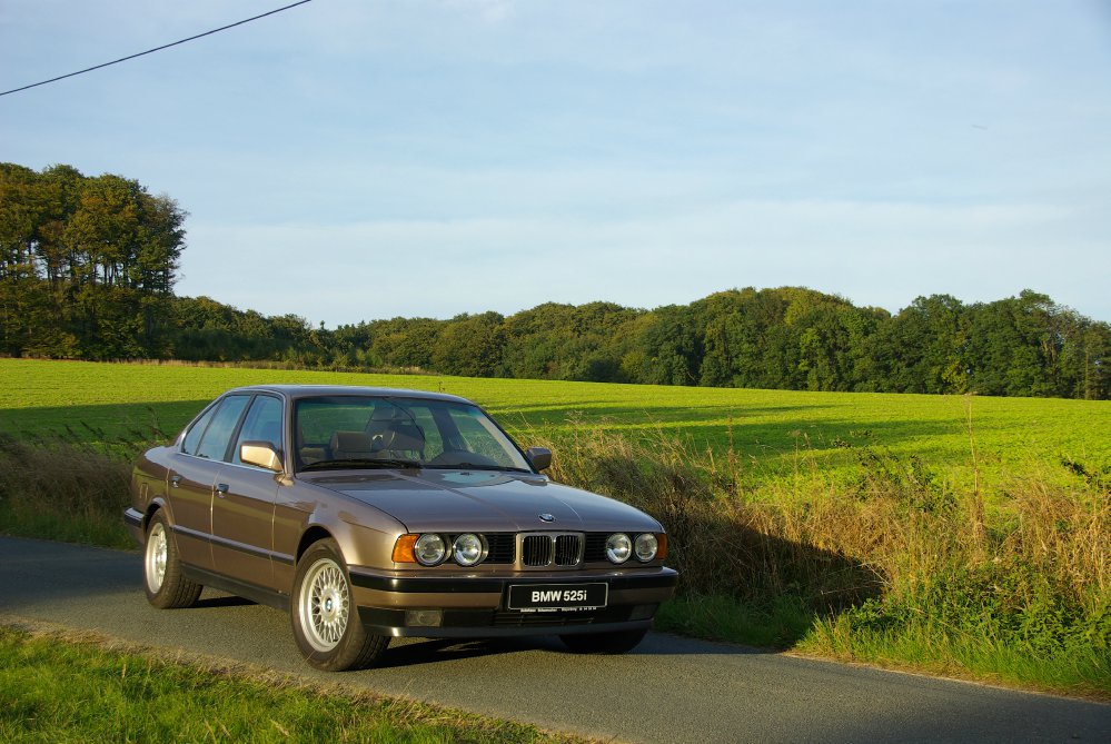 Goldi - 1989 BMW 525i M20B25 - 5er BMW - E34