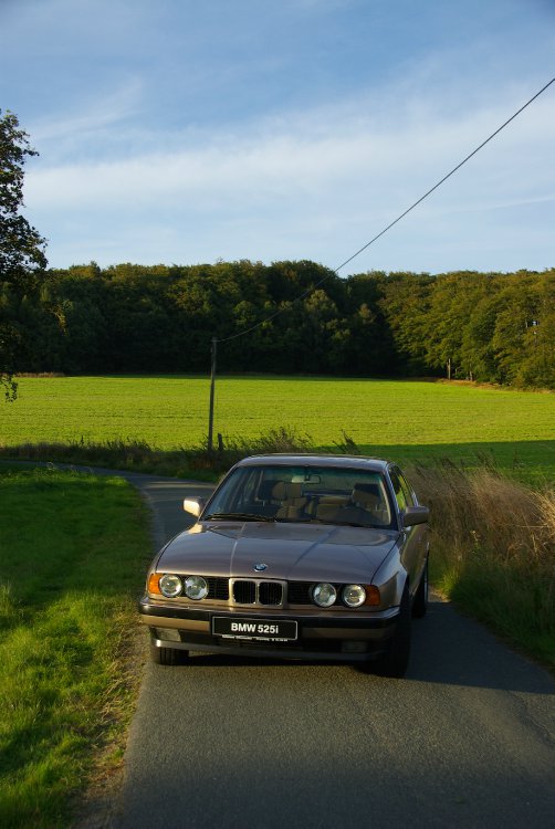 Goldi - 1989 BMW 525i M20B25 - 5er BMW - E34