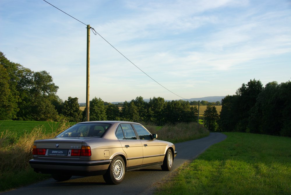 Goldi - 1989 BMW 525i M20B25 - 5er BMW - E34