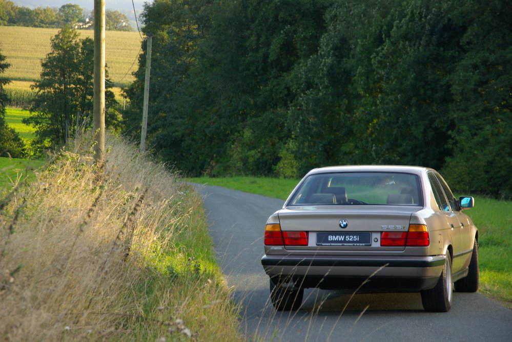 Goldi - 1989 BMW 525i M20B25 - 5er BMW - E34