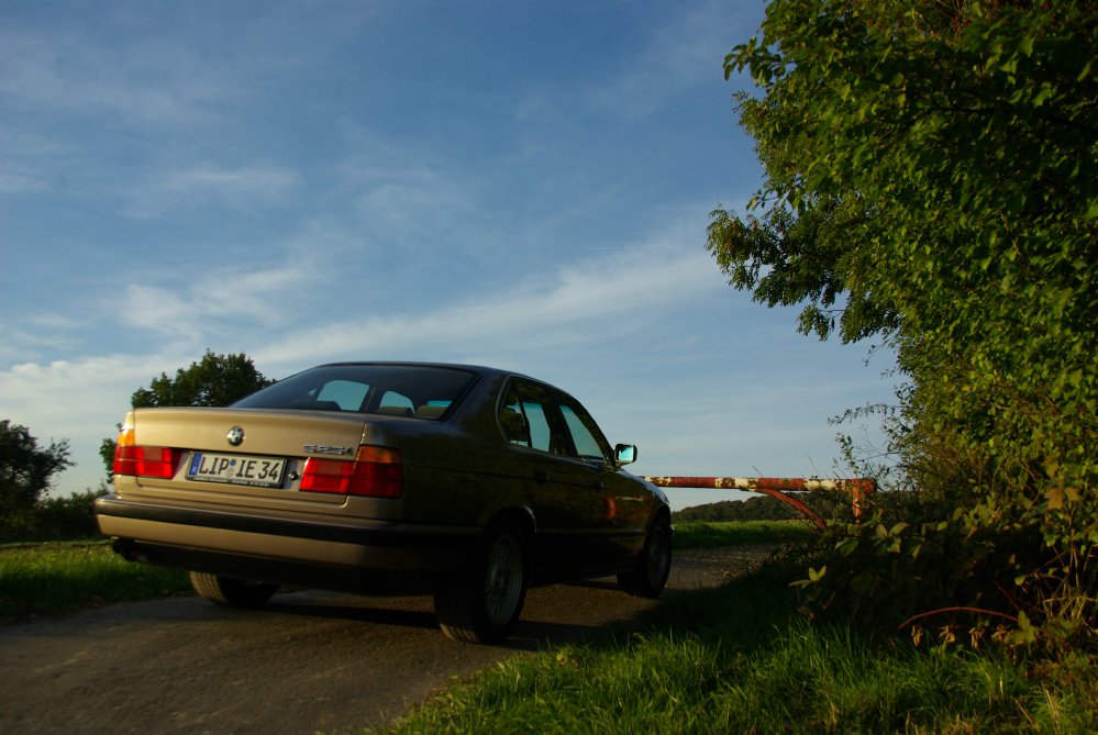 Goldi - 1989 BMW 525i M20B25 - 5er BMW - E34