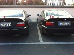 Felgenupdate  E36 Society  Class || - 3er BMW - E36