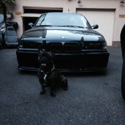Felgenupdate  E36 Society  Class || - 3er BMW - E36