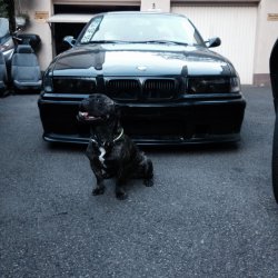 Felgenupdate  E36 Society  Class || - 3er BMW - E36