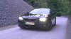 F10 530D Black Saphire - 5er BMW - F10 / F11 / F07 - 10439550_533260543441817_1676269676_n.jpg