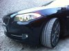 F10 530D Black Saphire - 5er BMW - F10 / F11 / F07 - 10456019_1595132850713067_1729778482420028161_n.jpg