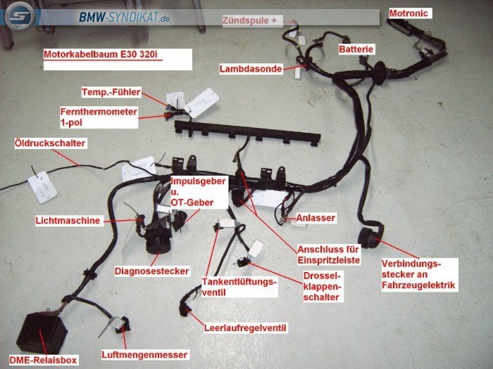 BMW-Syndikat Fotostorie