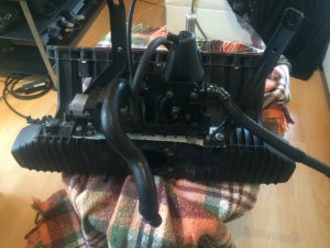 EThirtySix 323ti Compact Class2 - 3er BMW - E36
