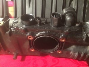 EThirtySix 323ti Compact Class2 - 3er BMW - E36