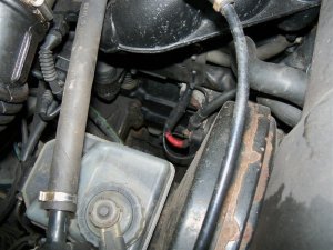 Restaurierter BMW 325i Touring  (e30) - 3er BMW - E30