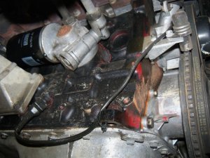 Restaurierter BMW 325i Touring  (e30) - 3er BMW - E30