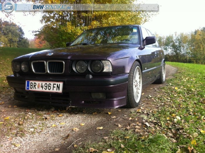 530i V8 - 5er BMW - E34