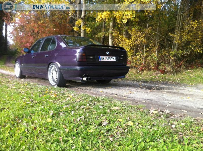 530i V8 - 5er BMW - E34