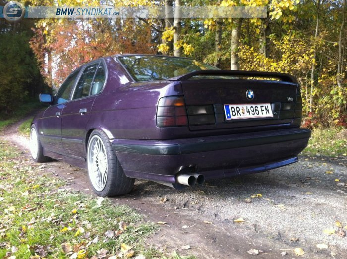 530i V8 - 5er BMW - E34