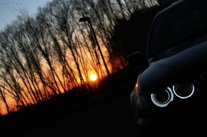 Topasblauer 320d - UPDATE -> 330i Gitter verbaut:) - 3er BMW - E46