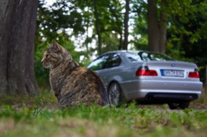 E46 320Ci - OEM styled - 3er BMW - E46 E46 320Ci - OEM styled - 3er BMW - E46