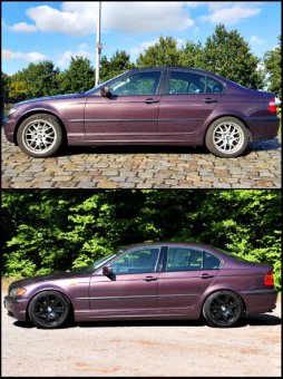 E46, 320d Dailycar - 3er BMW - E46