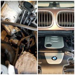 E46, 320d Dailycar - 3er BMW - E46