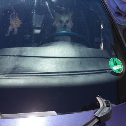 E36, 328 Cabrio - 3er BMW - E36 E36, 328 Cabrio - 3er BMW - E36