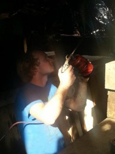 e36 328i sport  full rebuild Sierrarot project - 3er BMW - E36