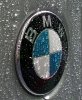 E39 Silver Star +Fotoshooting +Winter - 5er BMW - E39 - externalFile.jpg