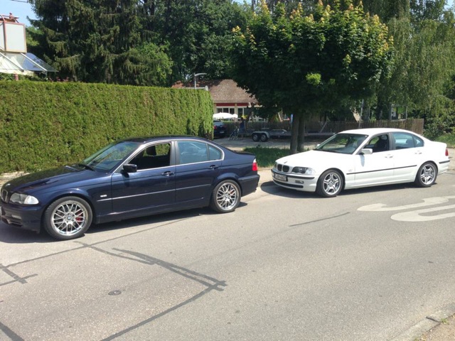 BMW e46 323i alpinaweiss III - 3er BMW - E46