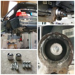 Mein Touring - 3er BMW - E46