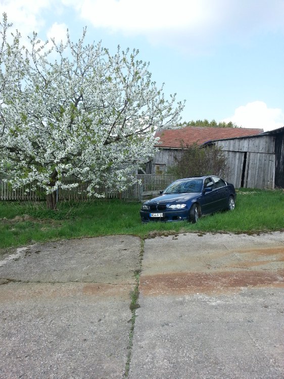 E46 Limo - Carbon & Mysticblau - 3er BMW - E46