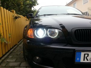 Black Dezent Beast - 3er BMW - E46