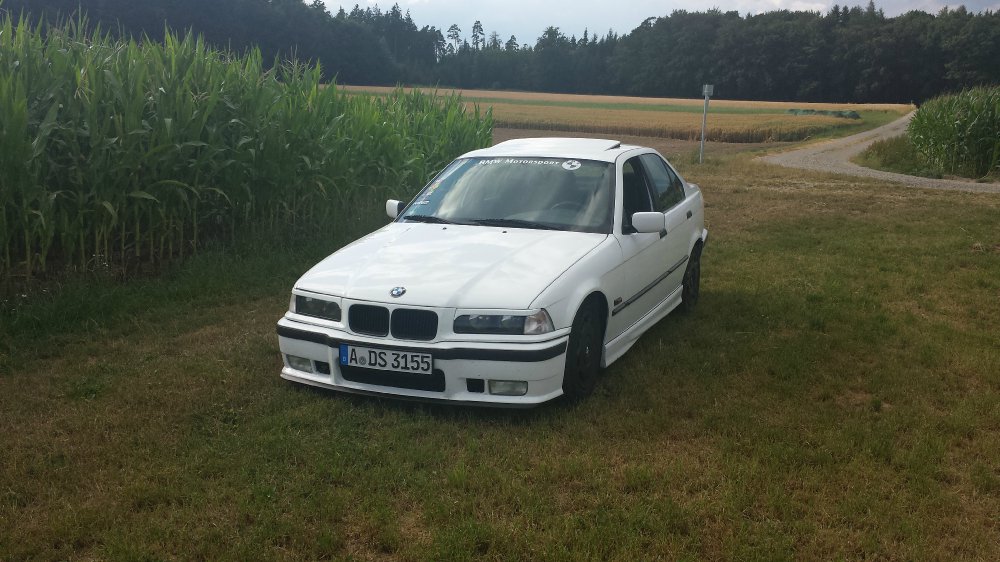 mein e36/316 - 3er BMW - E36