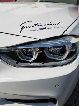 Olaf ....frozen :-) - 3er BMW - F30 / F31 / F34 / F80