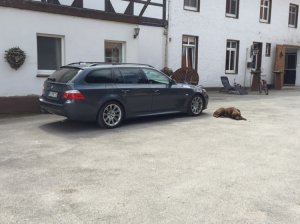E61 525d Touring - 5er BMW - E60 / E61