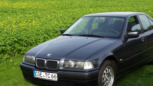 E36 316i "Meine Mona Lisa" Update+ - 3er BMW - E36 E36 316i "Meine Mona Lisa" Update+ - 3er BMW - E36
