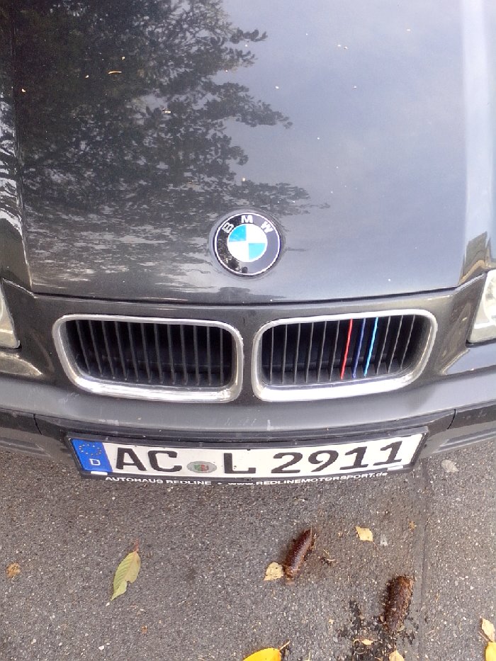 e36, 320i limo - 3er BMW - E36