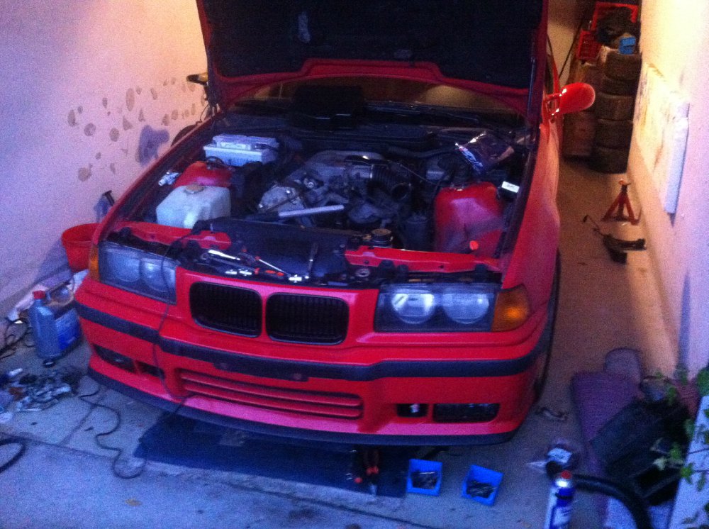 E36 316i Compact "WinterBi....." - 3er BMW - E36