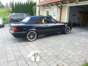 e36 328i orientalblau safrangelb "clubsport" - 3er BMW - E36 e36 328i orientalblau safrangelb "clubsport" - 3er BMW - E36