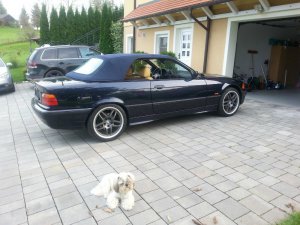 e36 328i orientalblau safrangelb "clubsport" - 3er BMW - E36