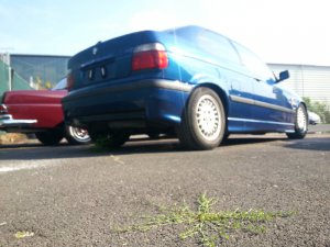 E36 316i Compact ///M - 3er BMW - E36 E36 316i Compact ///M - 3er BMW - E36