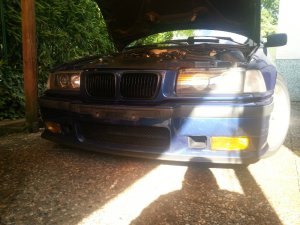 E36 316i Compact ///M - 3er BMW - E36 E36 316i Compact ///M - 3er BMW - E36