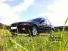 BMW E46/4 316i - 3er BMW - E46 - Folie2.JPG