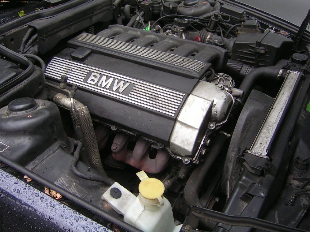 Ex-E34 525i 24V Sportlimousine - 5er BMW - E34