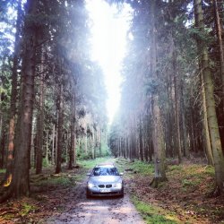 e61 525 - 5er BMW - E60 / E61