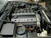 E34, 520i, EZ06/1995 - 5er BMW - E34 - 9.JPG